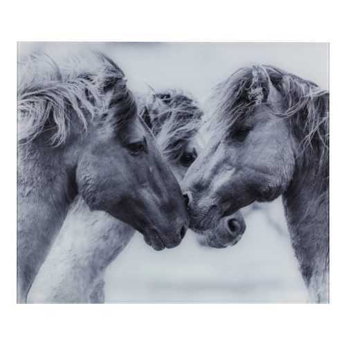 Horses szürke üveg falvédő tűzhelyhez