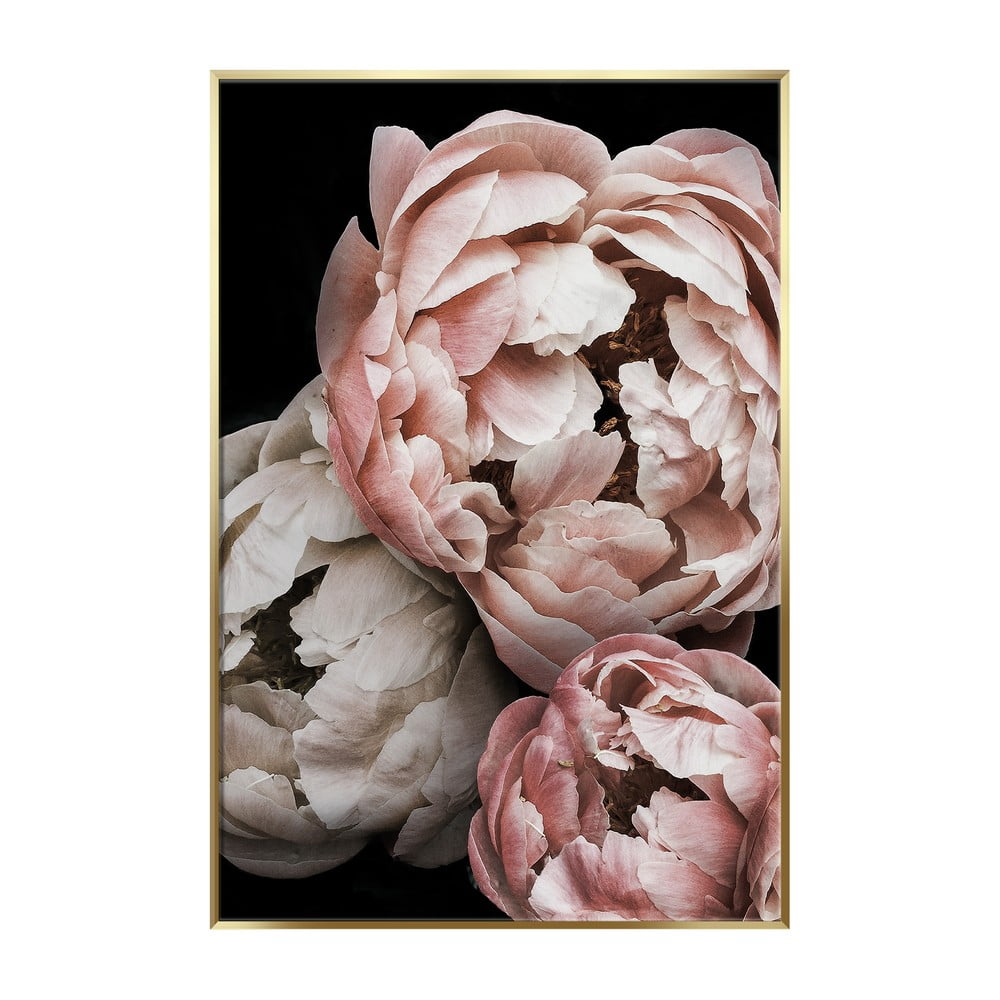 Artbox Peony kép