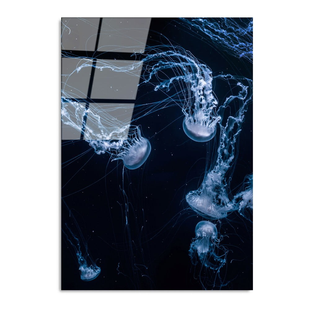 Üveg kép 70x100 cm Jelly Fish – Wallity