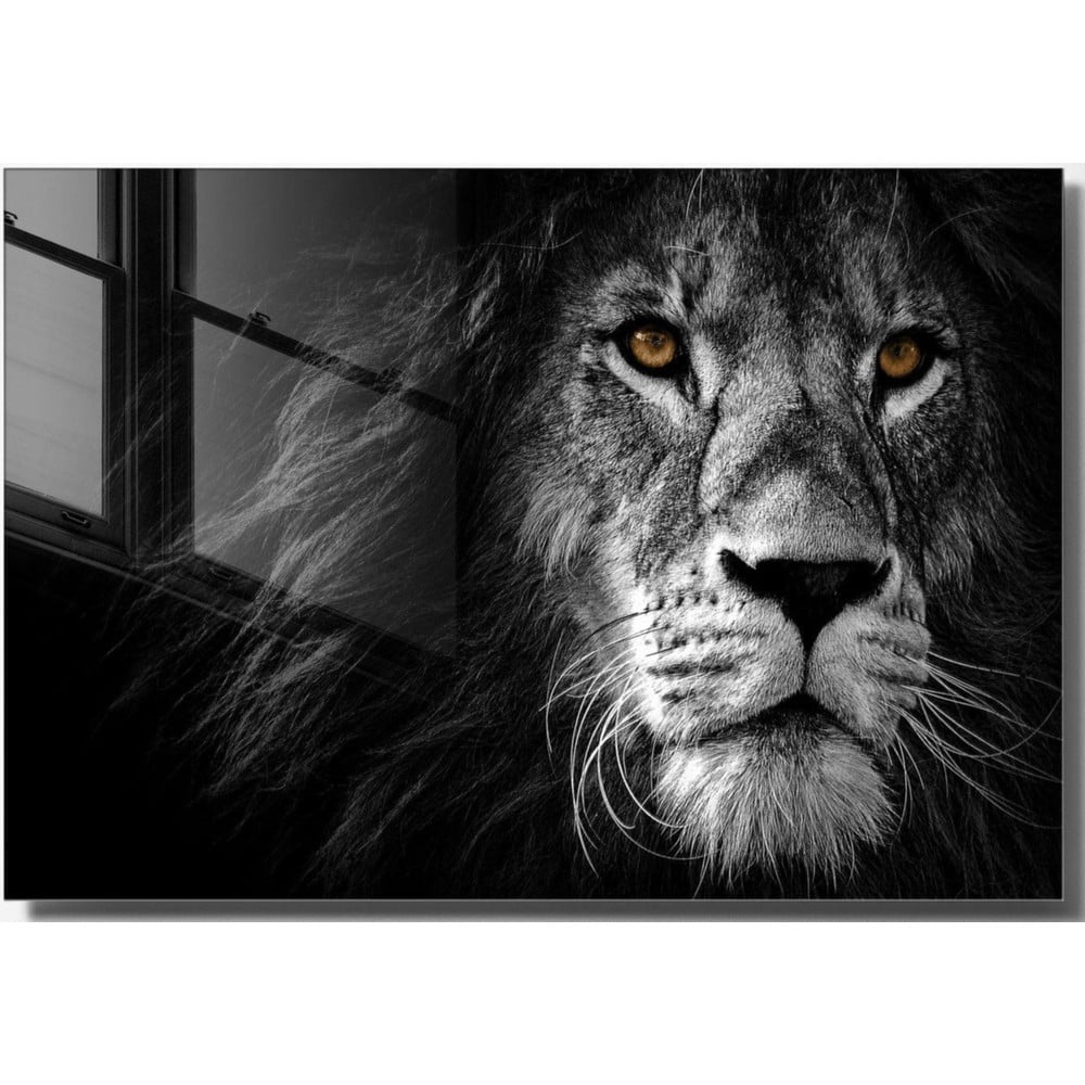 Üveg kép 70x50 cm Lion – Wallity