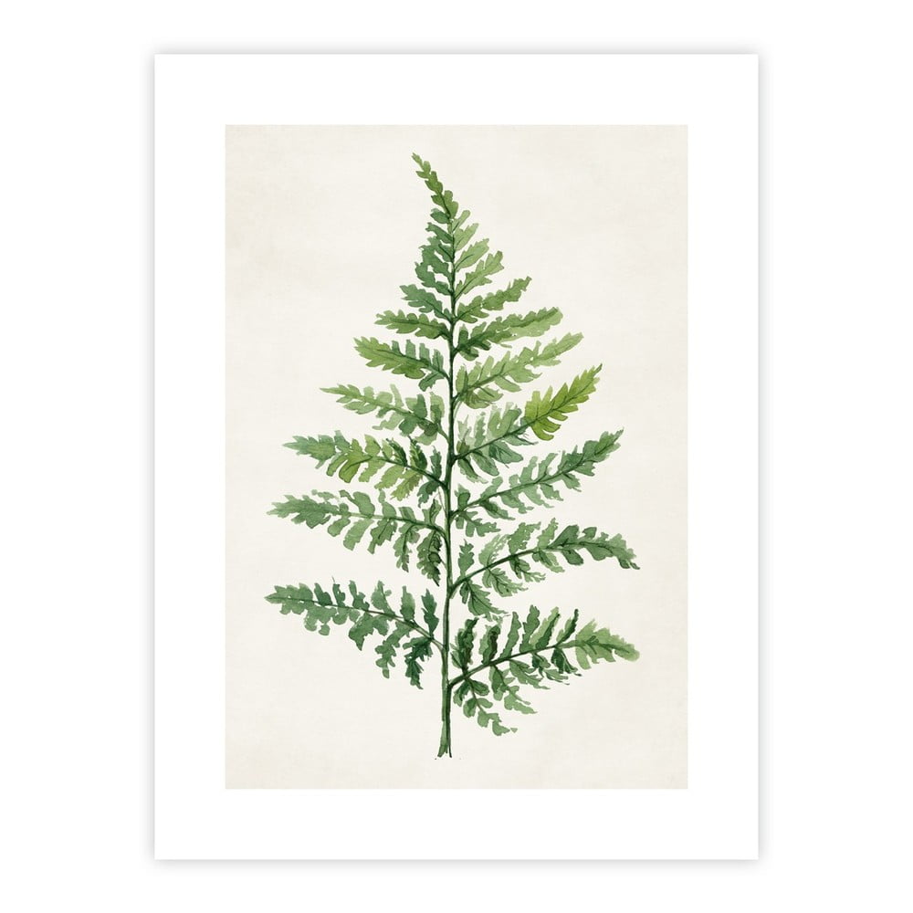 Poszter 40x50 cm Fern