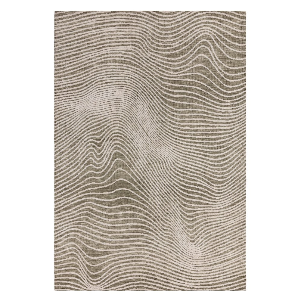 Zöld-krémszínű szőnyeg 160x230 cm Mason – Asiatic Carpets