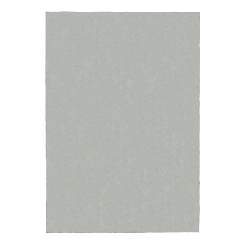 Világosszürke szőnyeg 200x290 cm – Flair Rugs