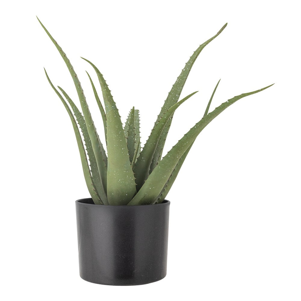 Műnövény (magasság 61 cm) Aloe – Bloomingville