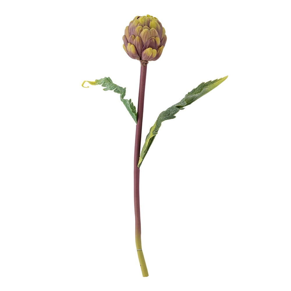 Művirág (magasság 54 cm) Protea – Bloomingville